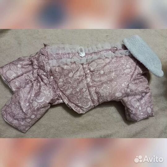 Комбинезон для собаки