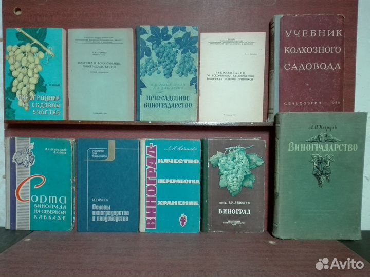 Виноградарство и виноделие