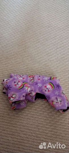 Одежда для животных