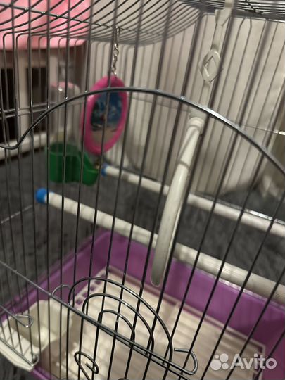 Клетка для попугая