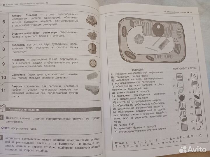 Биология справочник