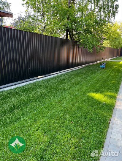 Рулонный газон с укладкой