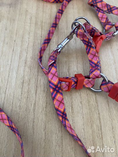 Поводок и шлейка для собаки