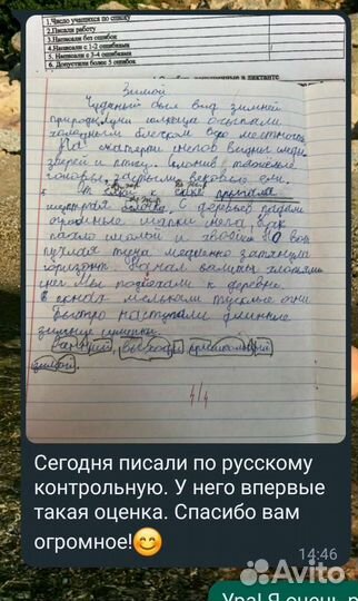 Репетитор начальных классов и русского языка (5-6)