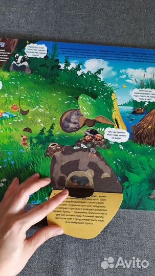 Детская книга с окошками