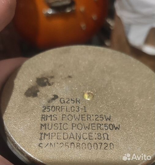 Гитарный динамик 10