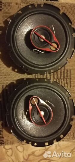 Новые калонки пеонер