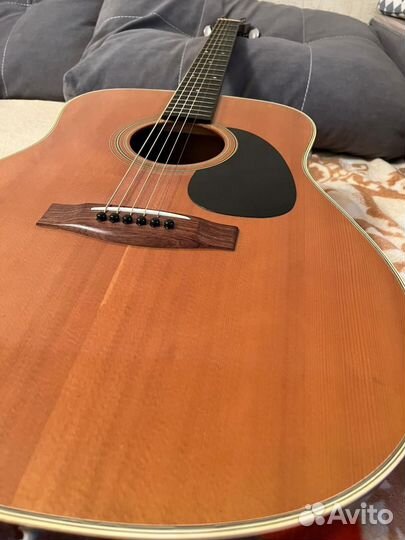 Акустическая гитара Suzuki f-120 Japan