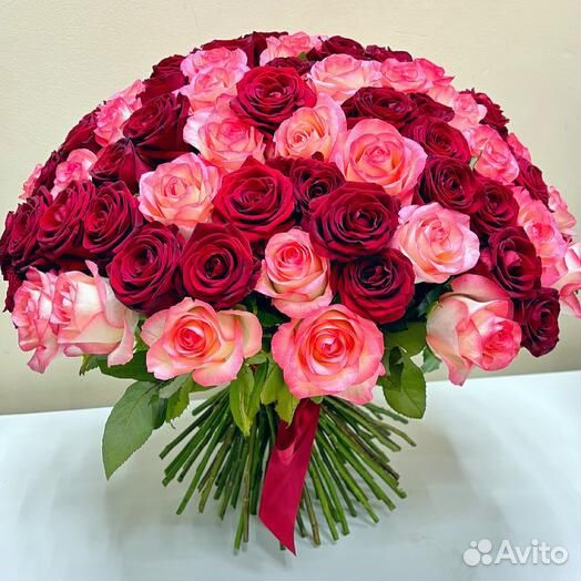 101 роза 51 роза 21 роза Букет Цветы Доставка