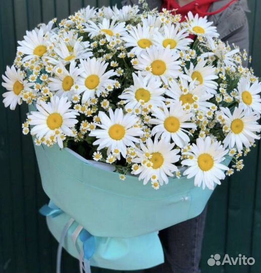 Ромашки