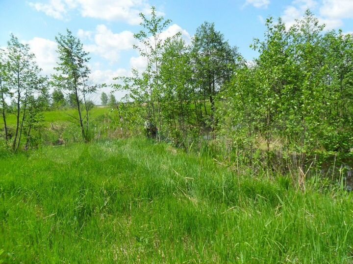 Участок 4 сот. (СНТ, ДНП)