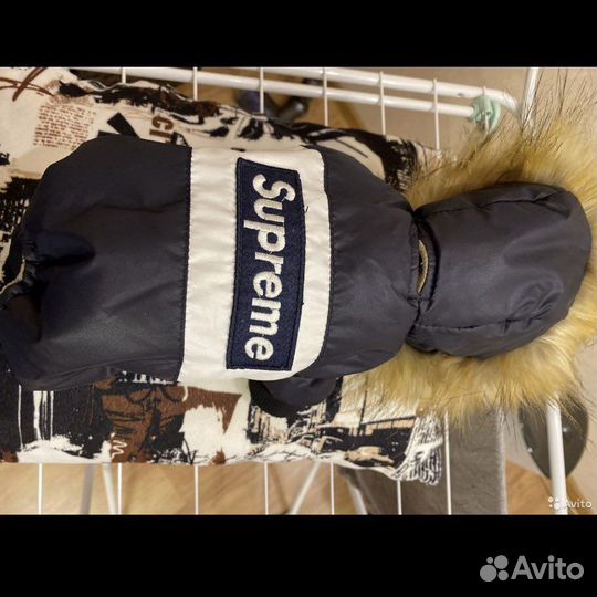 Одежда для собак