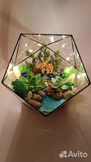 Флорариум