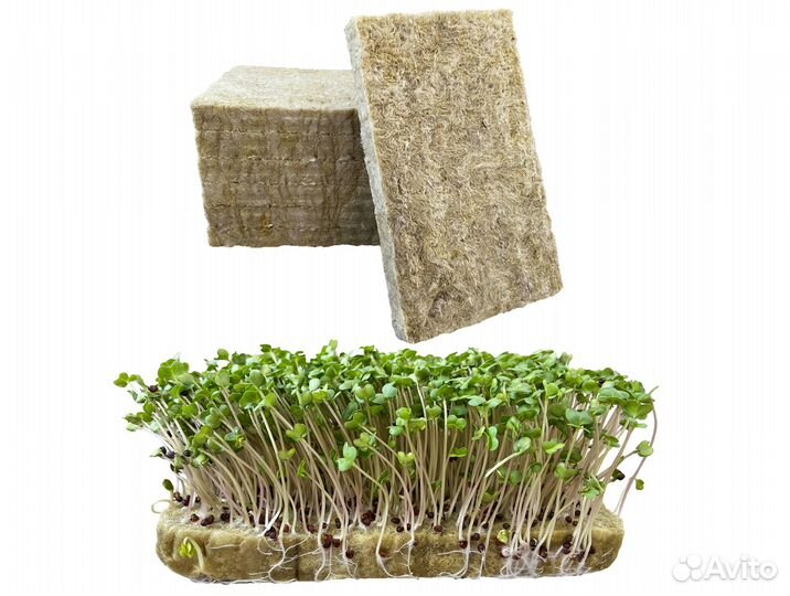 Агровата для микрозелени (розница и опт) арт.R087