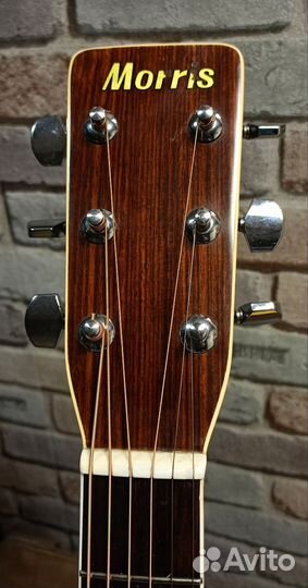 Акустическая гитара Morris W-25 (Japan)