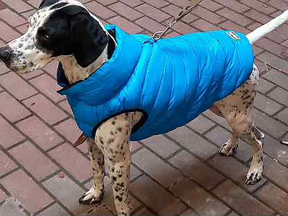 Куртка-пуховик для собак(двусторонняя)