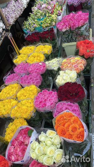 Букет роз 51шт 50см цвет в ассортименте