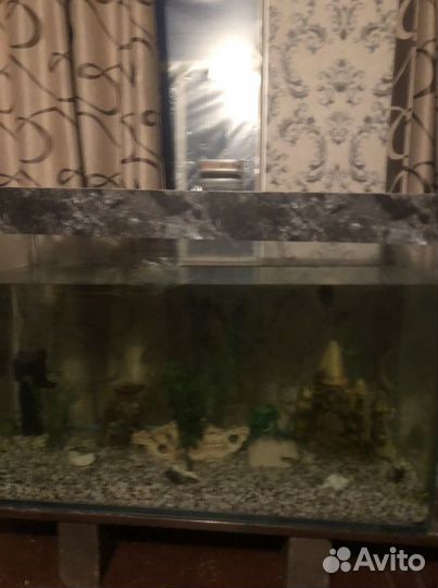 Аквариум