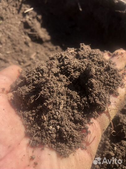 Просеянная земля