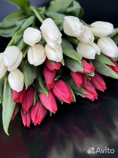 Тюльпаны оптом
