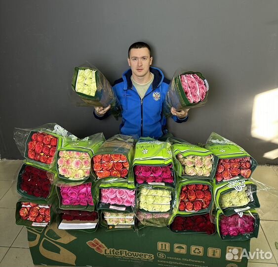 Розы, 51 роза, 101 роза