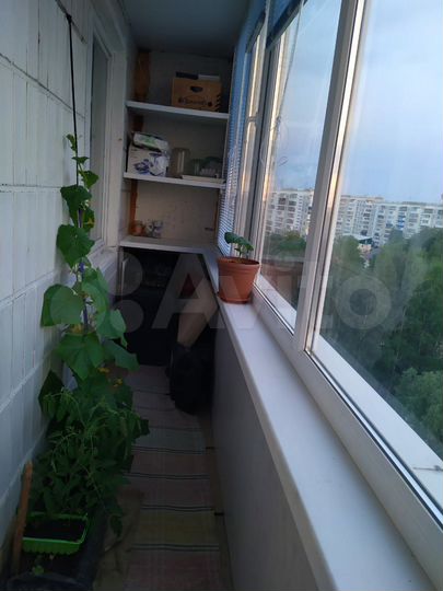 1-к. квартира, 36 м², 8/10 эт.