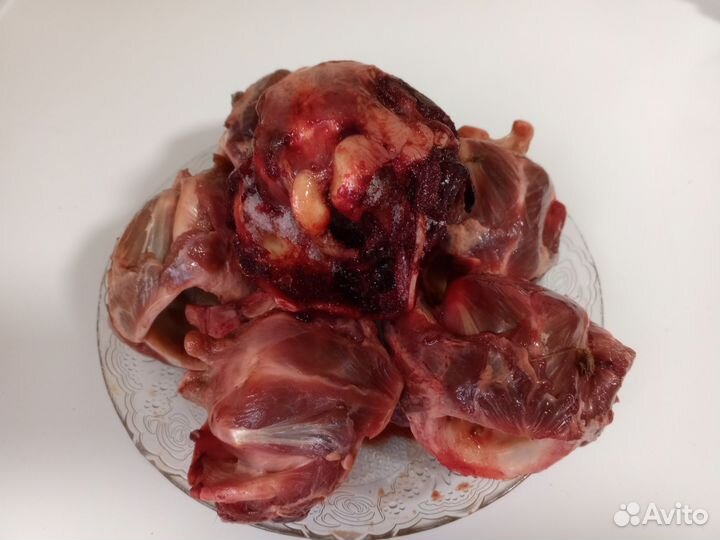 Мясо для домашних животных