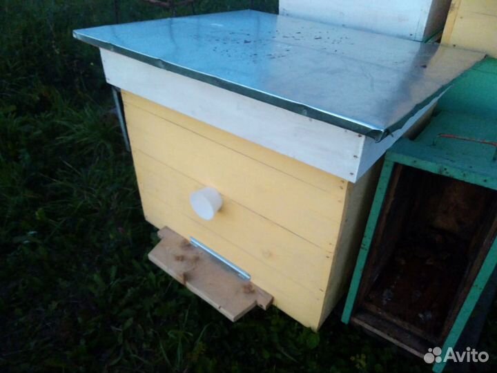 Улей для пчел