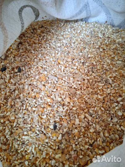 Пшеница, Зерно, размол. Кукуруза, овёс, ячмень: