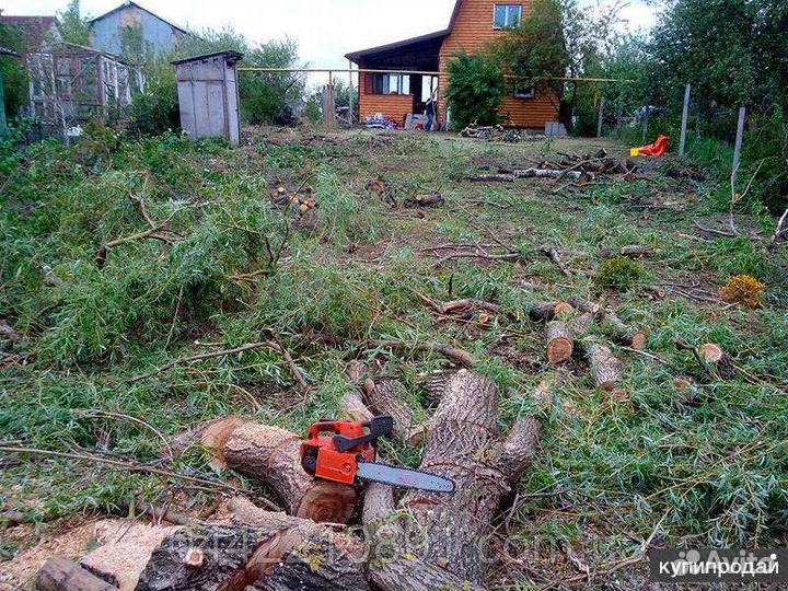 Покос травы триммером, очистка участка от деревьев