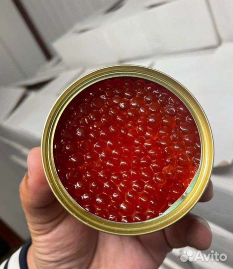 Красная икра Кета, Горбуша