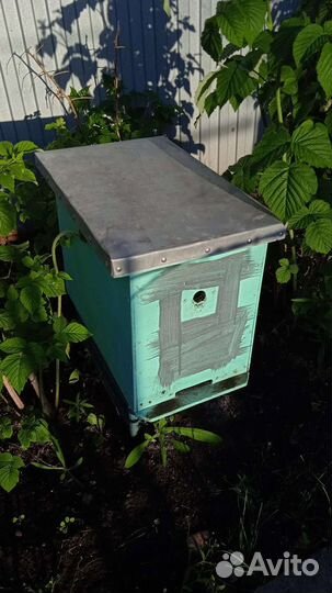 Ульи, рамки