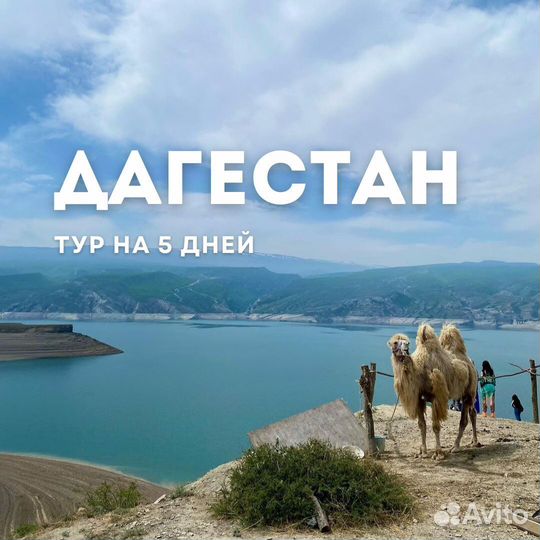 Весь Дагестан за 5 дней