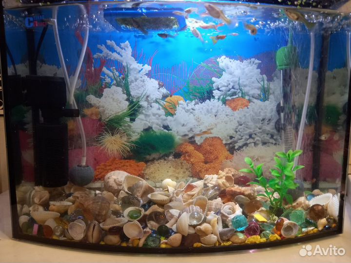 Укомплектованный аквариум с рыбками. 30 л