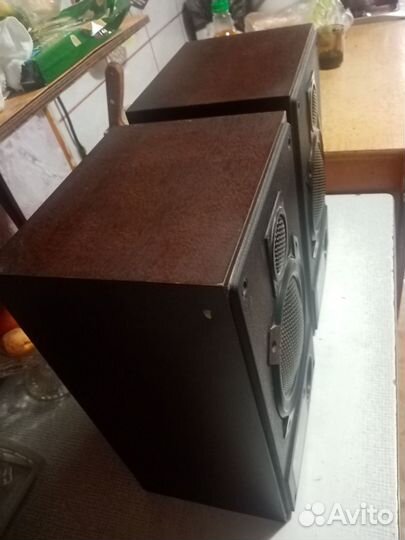 Колонки radiotehnika s 30