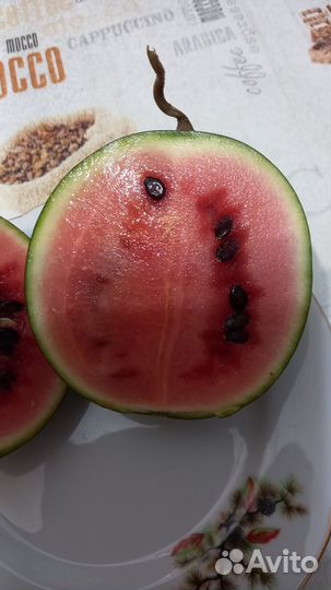 Семена арбуза