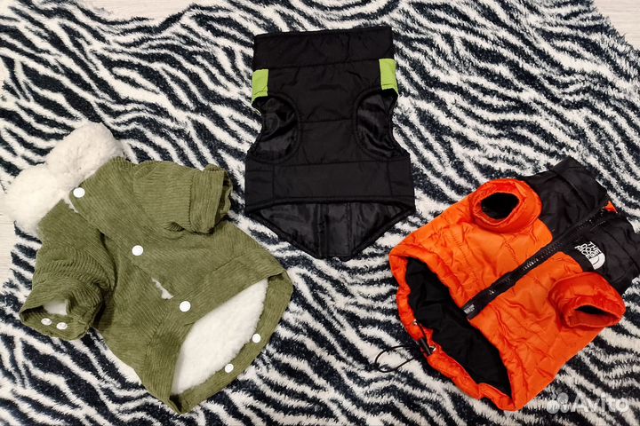 Одежда для животных