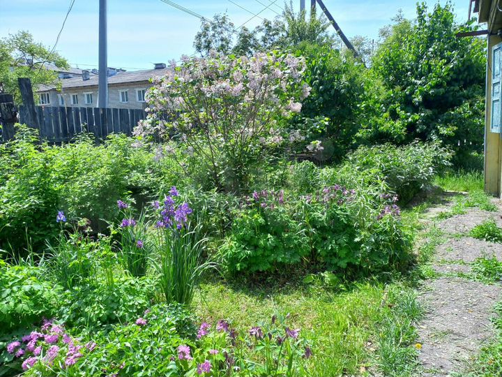 Дача 49,8 м² на участке 13,1 сот.