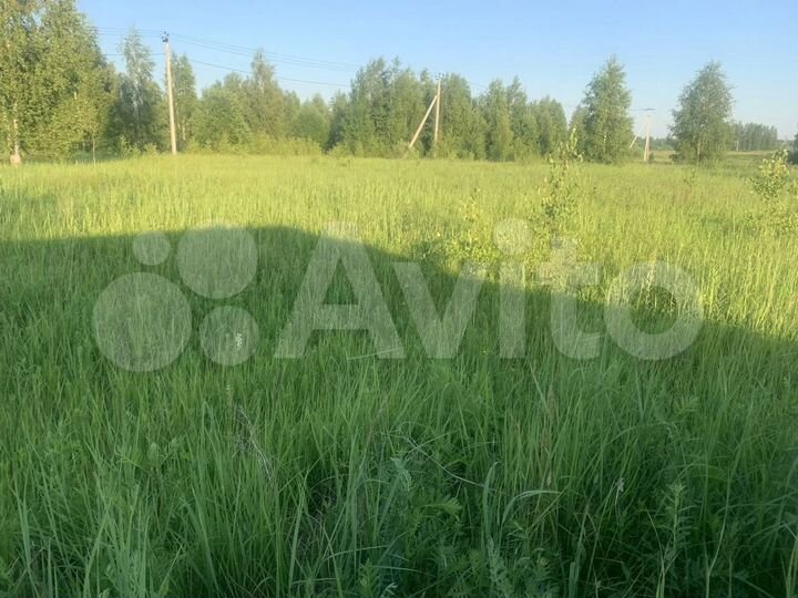 Участок 10 сот. (ИЖС)