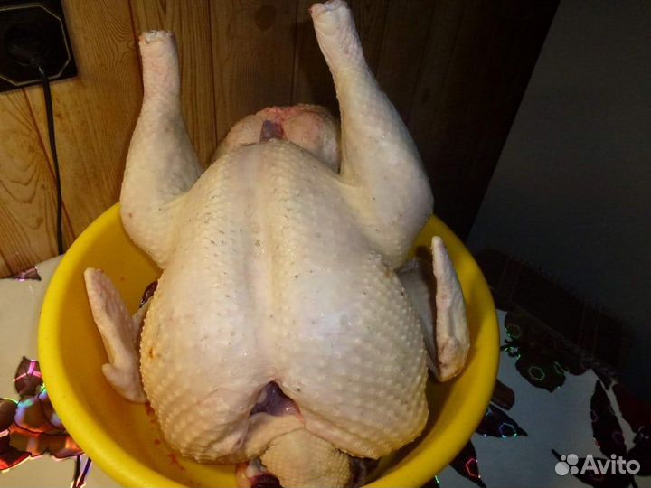 Мясо домашней индейки