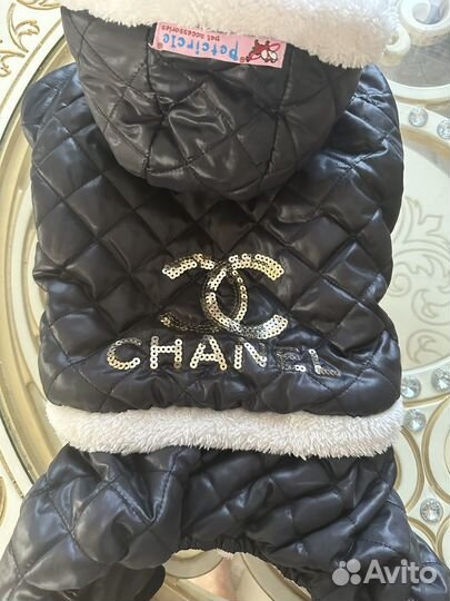 Костюм для собак