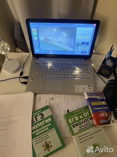 Репетитор по биологии / огэ / егэ