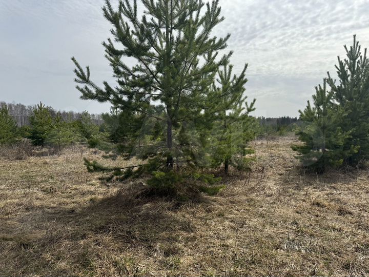 Коттедж 62 м² на участке 10 сот.