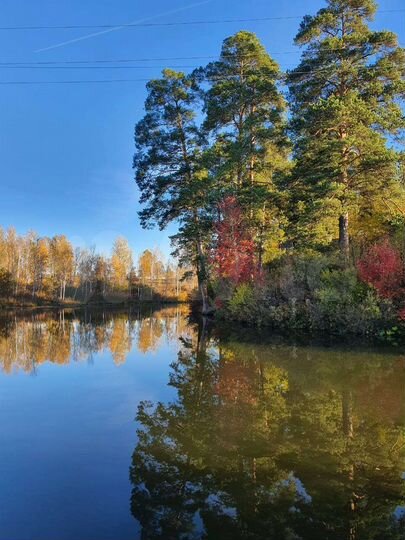 Дом 100 м² на участке 8,5 сот.