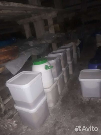 Мед горный Алтай 2023 г