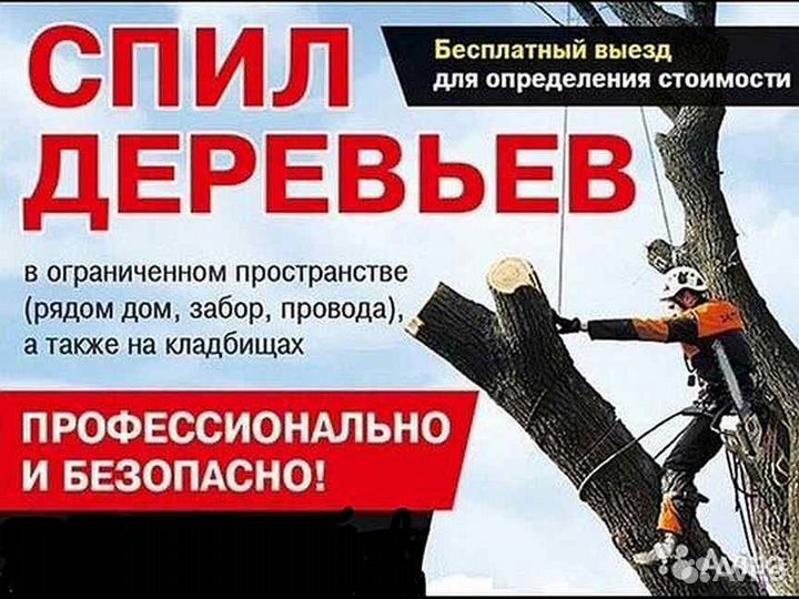 Спилить дерево. Обрезка плодовых