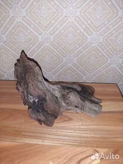 Оборудование для аквариума