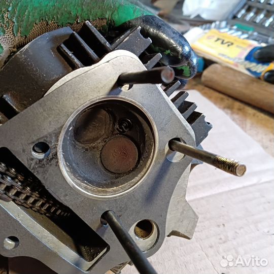 Поршневая alpha 110