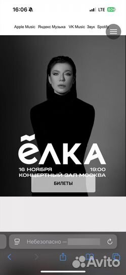 Концерт Ёлки 16.11