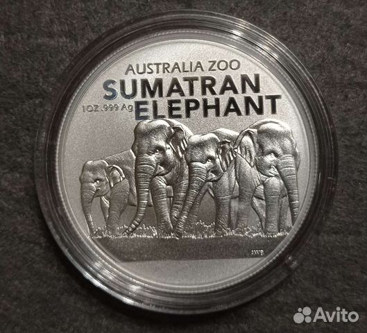 Монета Австралия 2022 Суматранский слон Серебро